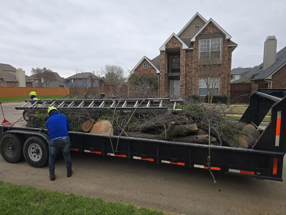 Expert Tree Fertilization with proper safety equipment in New Richmond